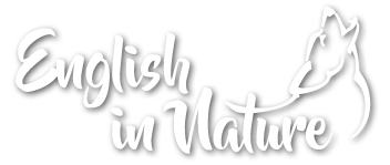 Logo English in Nature white no background