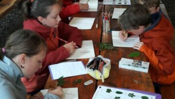 English in Nature Camp - plant study English in Nature Camps - Children studying plants outdoors with guidebooks and drawing in notebooks